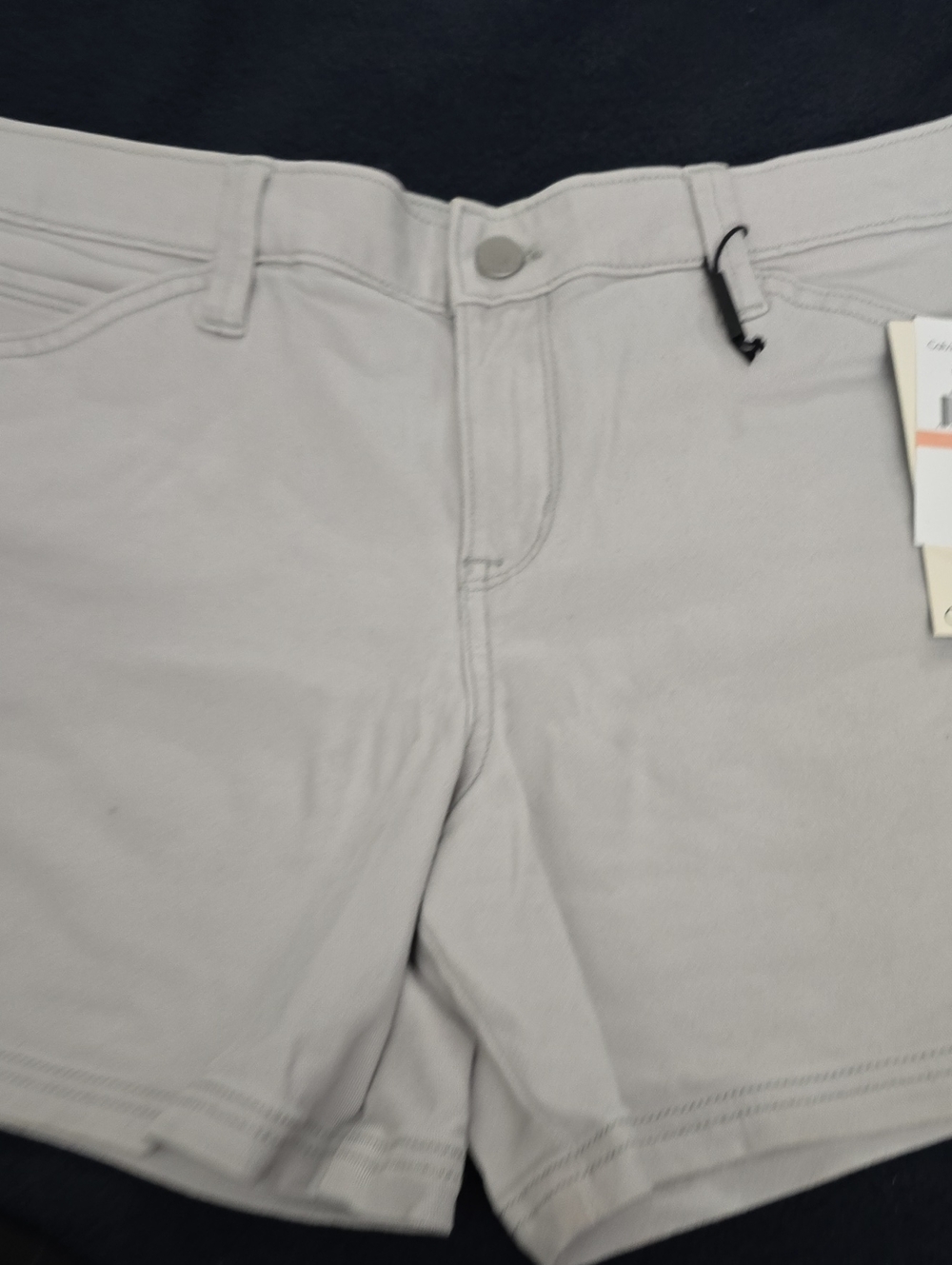 Calvin Klein Jeans Light Gray Flat Front Men's Shorts